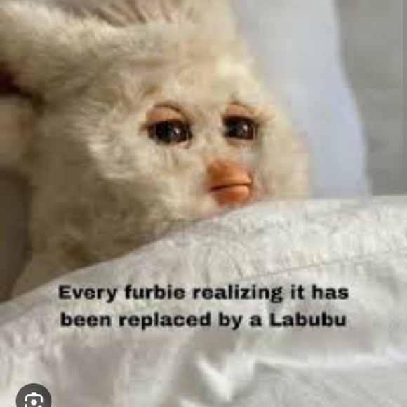 Meet your Posher, J.T.Dance - Picture 1 of 1